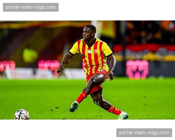 欧塞尔新援费弗尔谈适应法甲与保级压力